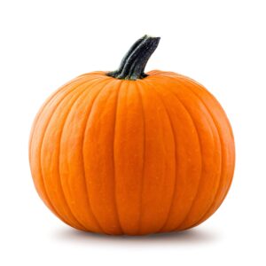 20 big max pumpkin seeds for planting - heirloom non-gmo usa grown premium vegetable seeds for planting - grows big giant pumpkins up to 100 lbs! grown for pies and halloween jack o lanterns