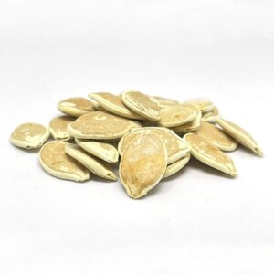 20 Big Max Pumpkin Seeds for Planting - Heirloom Non-GMO USA Grown Premium Vegetable Seeds for Planting - Grows Big Giant Pumpkins up to 100 lbs! Grown for Pies and Halloween Jack O Lanterns