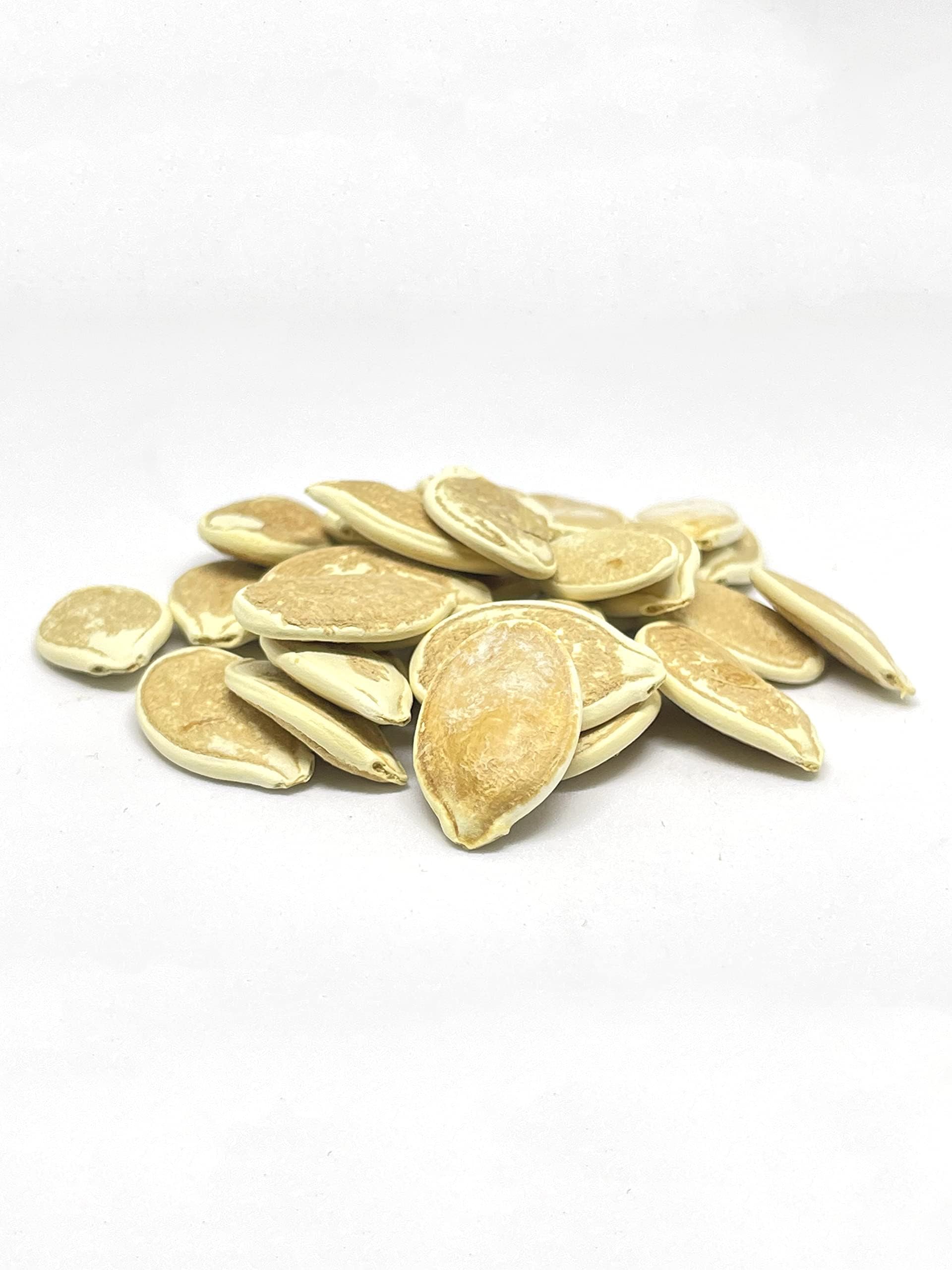 20 Big Max Pumpkin Seeds for Planting - Heirloom Non-GMO USA Grown Premium Vegetable Seeds for Planting - Grows Big Giant Pumpkins up to 100 lbs! Grown for Pies and Halloween Jack O Lanterns