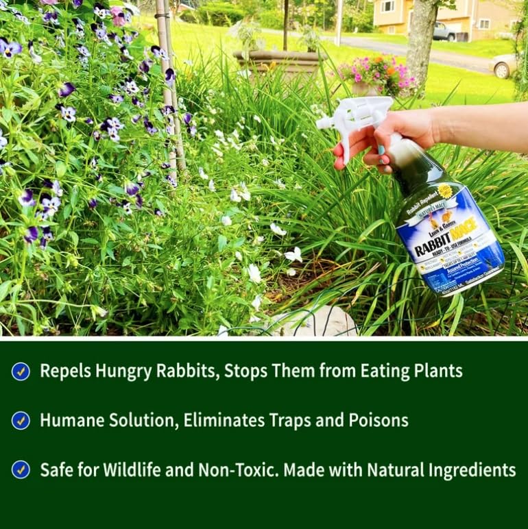 Nature’s MACE 40 Ounce Rabbit Repellent Spray, Rabbit Deterrent for Garden, Rabbit Repellent Outdoor, Rabbit Repellent for Garden, Safe for Dogs, Pets, People, & Plants