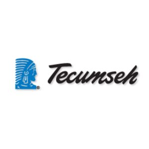 Tecumseh 34910 Lawn & Garden Equipment Engine Air Filter Genuine Original Equipment Manufacturer (OEM) part