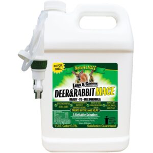 nature’s mace deer & rabbit mace 1 gallon deer & rabbit repellent spray, deer repellent spray for plants, lawns, flowers & gardens, plant safe deer spray, all-season protection, covers 5,600 sq ft