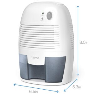 hOmeLabs Small Space Dehumidifier with Auto Shut Off - Compact and Portable