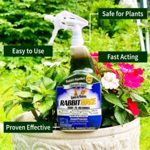 Nature’s MACE 40 Ounce Rabbit Repellent Spray, Rabbit Deterrent for Garden, Rabbit Repellent Outdoor, Rabbit Repellent for Garden, Safe for Dogs, Pets, People, & Plants