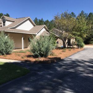 USA Pine Straw - Pine Needle Mulch - Covers 240 Sqft