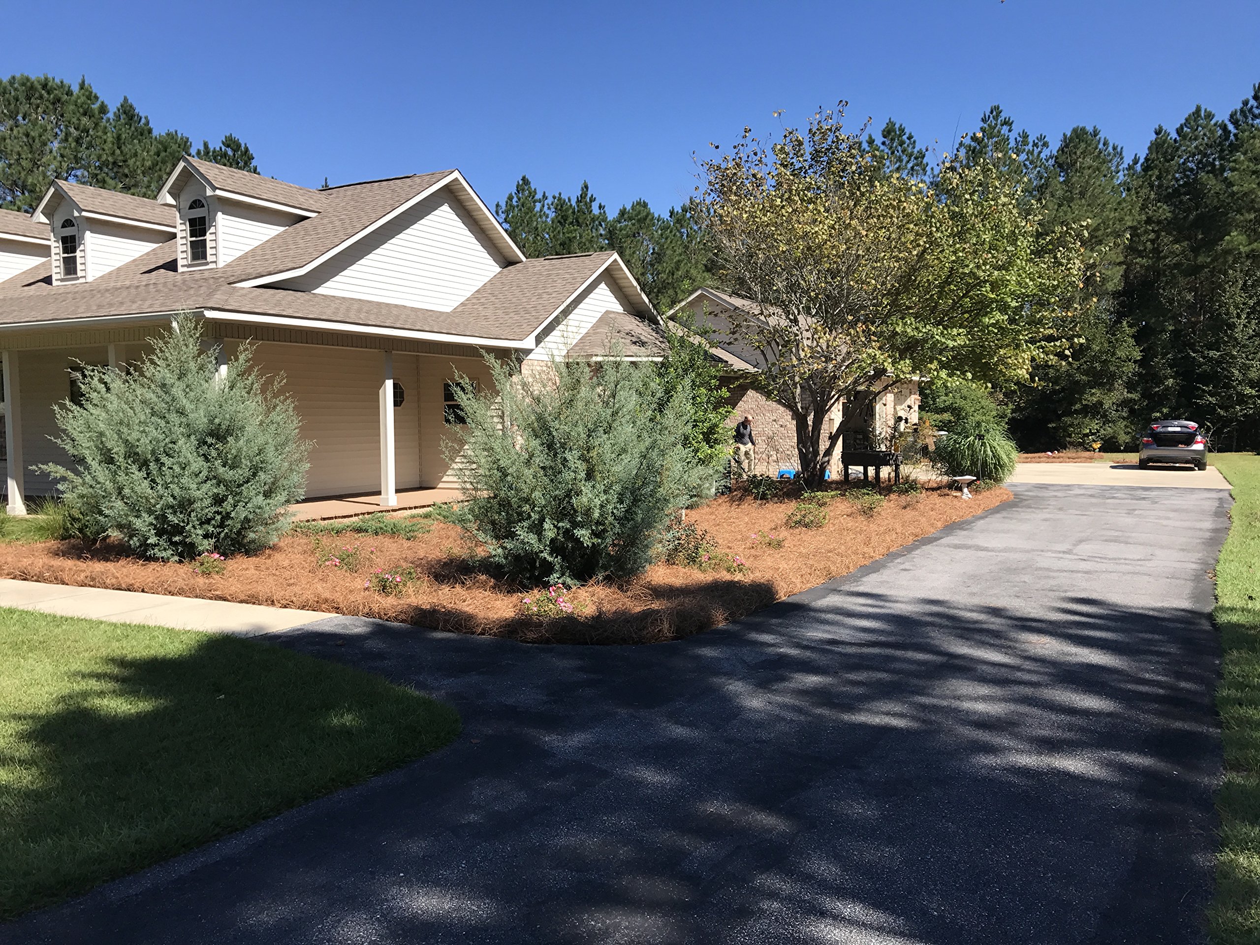 USA Pine Straw - Pine Needle Mulch - Covers 240 Sqft