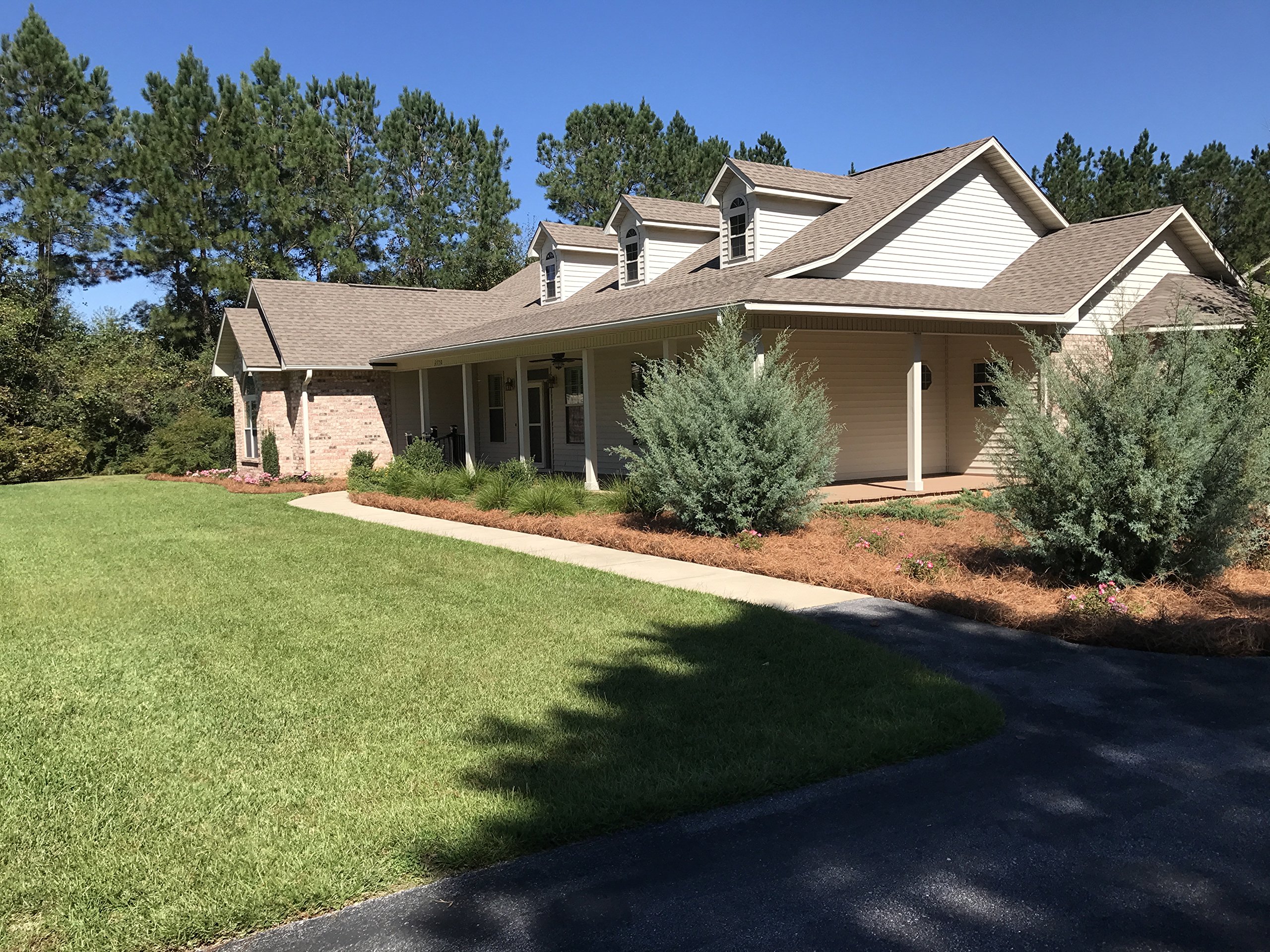 USA Pine Straw - Pine Needle Mulch - Covers 240 Sqft