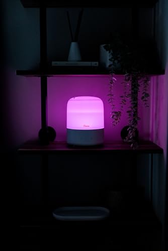 Crane Ultra-Quiet 3-in-1 Humidifier, Essential Oil Aroma Diffuser & Soothing Sleep Light - Compact 0.5 Gallon Capacity with Adjustable Night Light & Fragrance Tray - Ideal for Bedroom, Office, Nursery