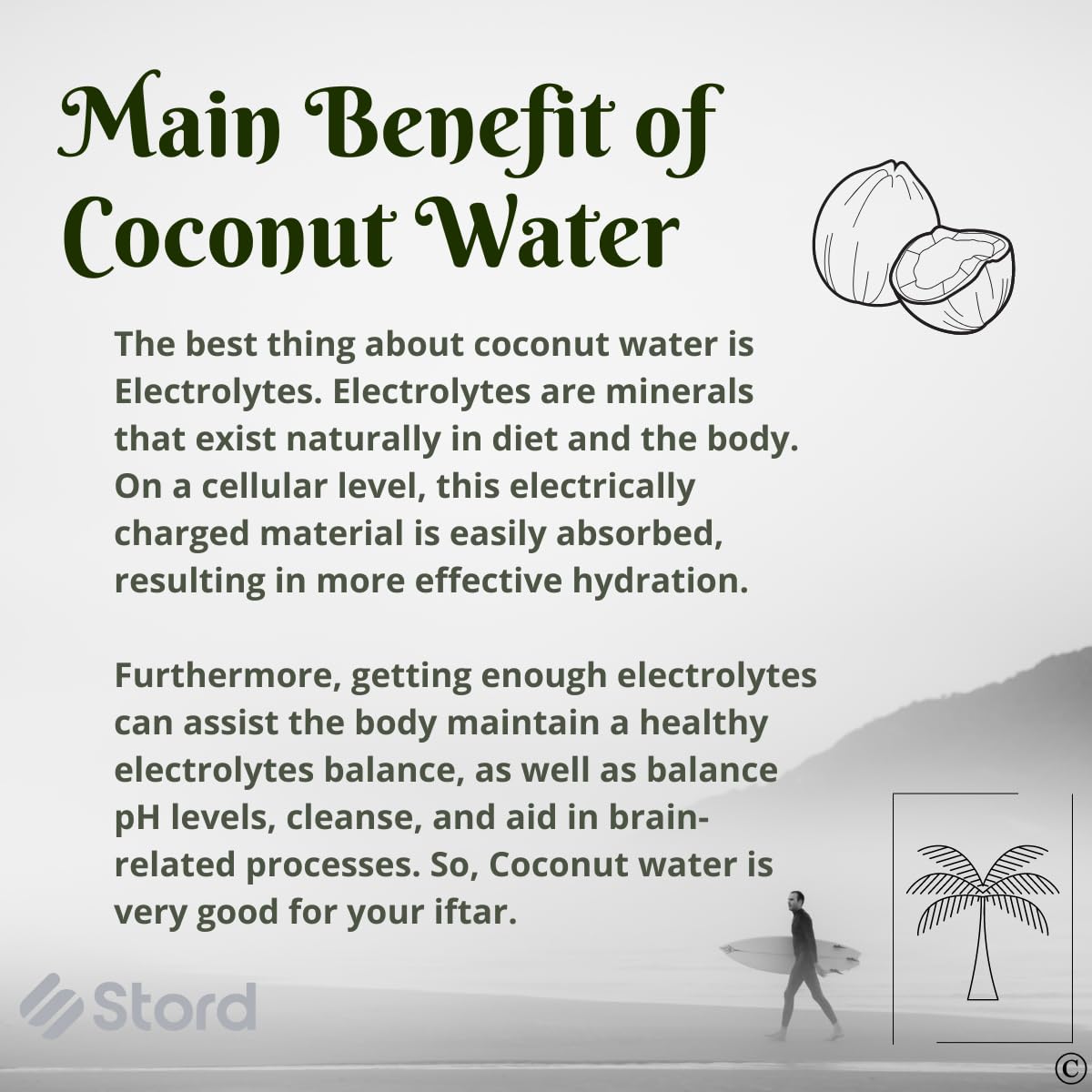 S STORD Coconut Opener for Fresh Green Young Coconut Water - Works With Peeled Thai Young White Coconuts - Open in Seconds Super Safe Easy and Fast