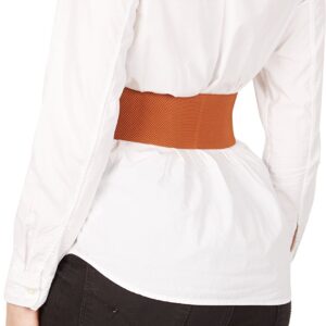 BlackButterfly 3 Inch Wide Waspie Elastic Vintage Buckle Waist Belt (Brown, US 10-12)