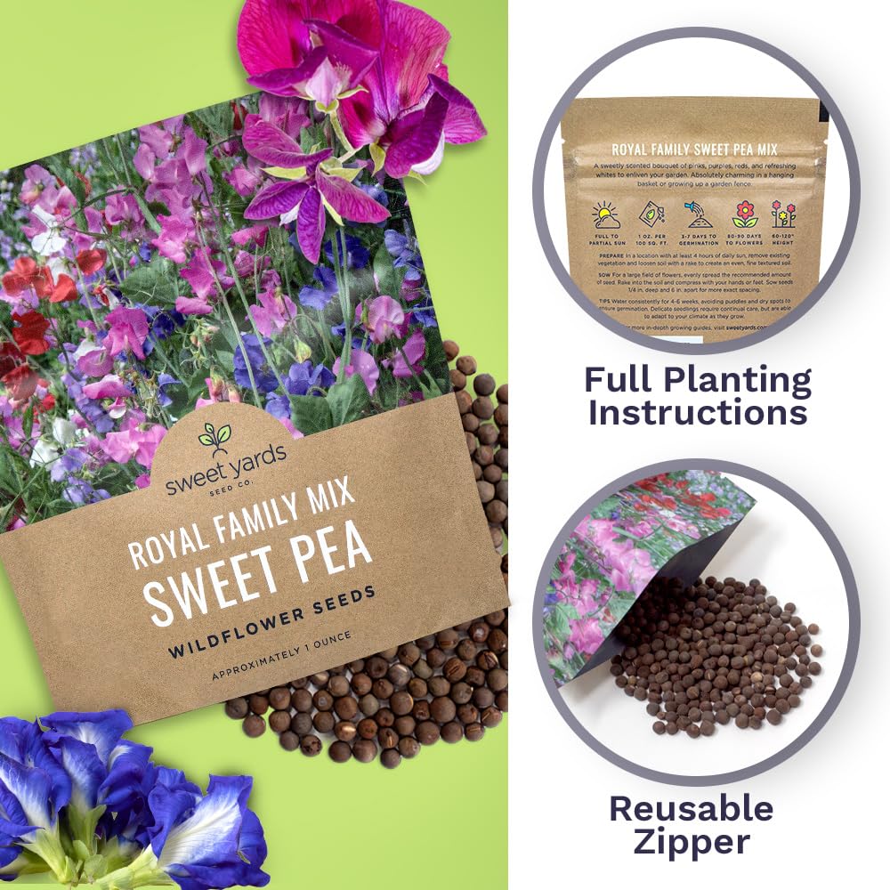 Sweet Pea Seeds Royal Mix - Bulk 1 Ounce Packet - Over 350 Seeds - Large Fragrant Lavender, Purple, Red, Pink and White Blooms