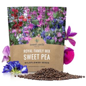 Sweet Pea Seeds Royal Mix - Bulk 1 Ounce Packet - Over 350 Seeds - Large Fragrant Lavender, Purple, Red, Pink and White Blooms