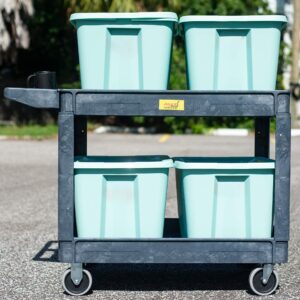 550lb Capacity Heavy Duty Plastic Utility Cart 46" L x 25-5/8" W with Handle 2 Shelves Pake Handling Tools