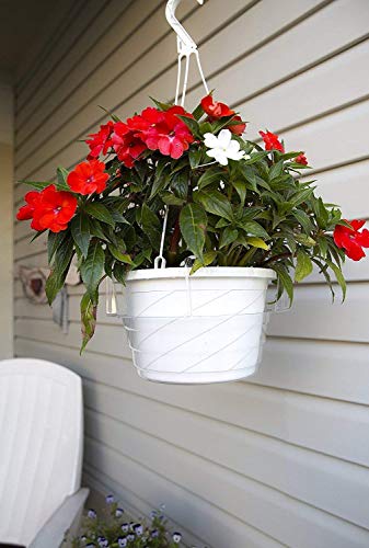 Curtis Wagner Plastics Plant Hanging Basket Drip Pans (5-Pack) - Clear, Round (Diameter = 9" Base, 12" Top, 3.75" Depth) Thin Plastic Indoor Outdoor