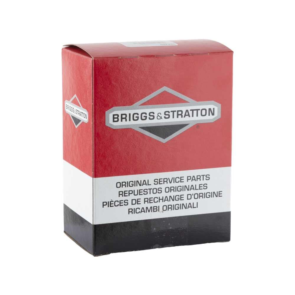 Briggs & Stratton 597265 Lawn & Garden Equipment Engine Air Filter Genuine Original Equipment Manufacturer (OEM) Part