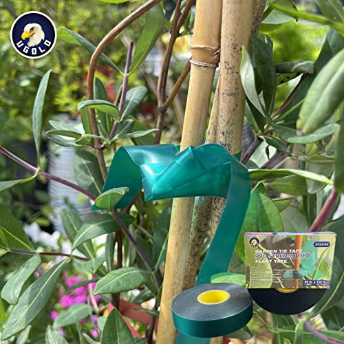 Ugold 8 mil Extra Thick 150 Feet x 1'' Stretch Plant Tie Tape, Garden Tie Tape for Planting and Grafting, Plant Ribbon for Tomatoes, Grapes and Trees, Green Tie Tape, Garden Stake for Vinyard