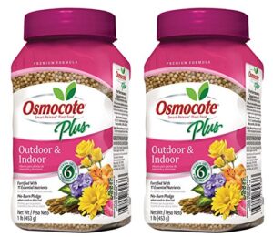 osmocote plus outdoor and indoor smart-release plant food, 1-pound (plant fertilizer) - pack of 2