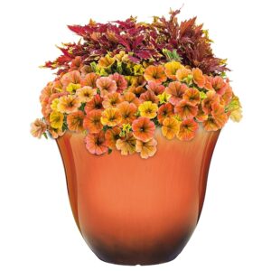 Classic Home and Garden Honeysuckle Resin Flower Pot Planter, Tequila Sunrise, 13"