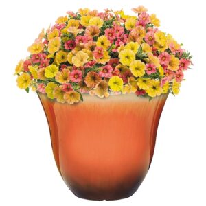 Classic Home and Garden Honeysuckle Resin Flower Pot Planter, Tequila Sunrise, 13"