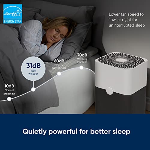 BLUEAIR Air Purifier (2-pack) for Home Large Room up to 2,592sqft in 60 min, HEPASilent, Wildfire, Removes Particles like Smoke Allergens Dust Mold Pet Hair Odor Bacteria, Blue 211+, Gray