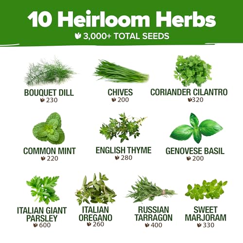 10 Culinary Herb Seeds - Non-GMO, Heirloom Seeds - 3000+ Seeds for Planting for Outdoor or Indoor Herb Garden, Basil, Cilantro, Parsley, Chives, Thyme, Oregano, Dill, Marjoram, Mint, Tarragon