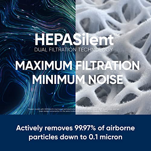 BLUEAIR Air Purifier (2-pack) for Home Large Room up to 2,592sqft in 60 min, HEPASilent, Wildfire, Removes Particles like Smoke Allergens Dust Mold Pet Hair Odor Bacteria, Blue 211+, Gray