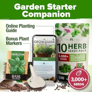 10 Culinary Herb Seeds - Non-GMO, Heirloom Seeds - 3000+ Seeds for Planting for Outdoor or Indoor Herb Garden, Basil, Cilantro, Parsley, Chives, Thyme, Oregano, Dill, Marjoram, Mint, Tarragon