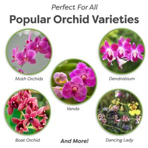 All Natural Orchid Potting Mix 4qts. by Perfect Plants | Hand Mixed in Small Batches | Great for Phalaenopsis of All Kinds