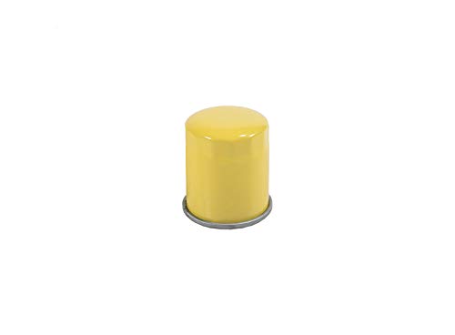 Rotary 15765 Oil Filter Replaces Briggs 798319, 795990 & 792615B