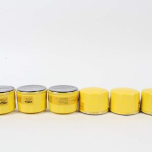 6 Pack Oil Filter Fits B&S 696854 795890 842921 695396 492932