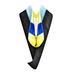 gradwyse education master hood graduation master degree hood, various college colors available light blue (gold/blue)