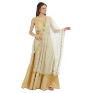 DUPATTA BAZAAR Women's Embellished Off White Net Dupatta