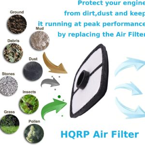 HQRP 2-Pack Filter compatible with Echo ES-210 ES-211 ES-250 ES-252 ES-2000 ES-2100 ES-2400 Chipper Shredder, compatible with Echo EDR-260 Engine Drill