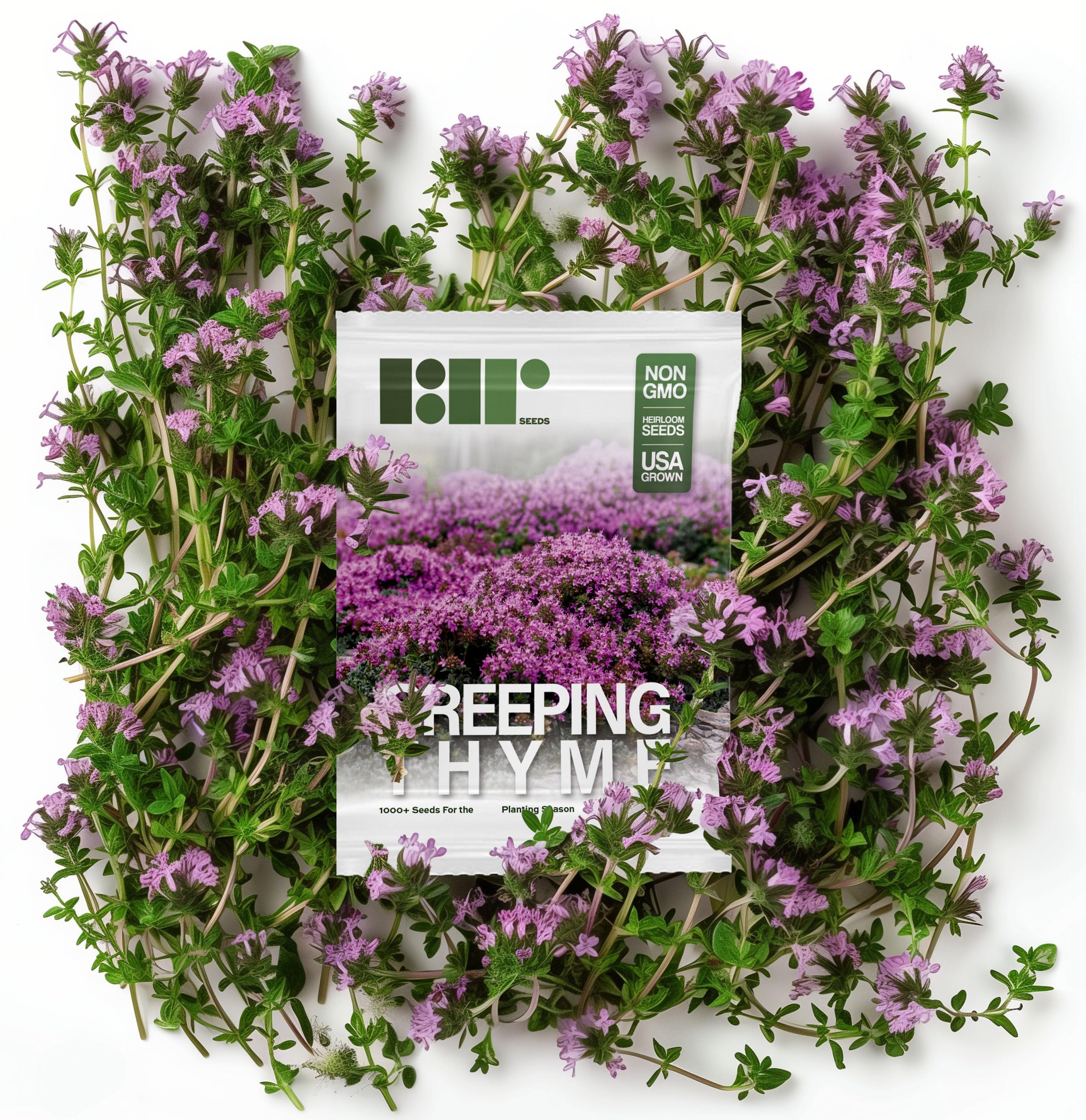 1,000 Creeping Thyme Seeds for Planting - Heirloom Non-GMO Ground Cover Seeds - AKA Breckland Thyme, Mother of Thyme, Wild Thyme, Thymus Serpyllum - Purple Flowers