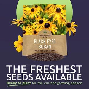 Black Eyed Susan Seeds – Extra Large Packet – Over 100,000 Open Pollinated Non-GMO Wildflower Seeds – Rudbeckia hirta