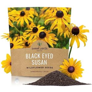 black eyed susan seeds – extra large packet – over 100,000 open pollinated non-gmo wildflower seeds – rudbeckia hirta