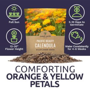 Calendula ‘Pacific Beauty Mix’ – Extra Large Packet – Over 3,000 Open Pollinated Non-GMO Wildflower Seeds – Calendula officinalis