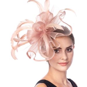 Lucky Leaf Girl Lady Hat Headwear Organza Church Feather Clip Fascinators Hat Wedding Party Kentucky Derby Cap for Women(F-5-Dark Pink)