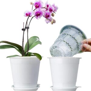 Meshpot 4 inch Clear Orchid Pots with Holes Match White Plastic Orchid Planter,Set of 2,Double Layer Plant Nursery Pots Own Scientific Controlling Roots Technology