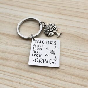 XGAKWD Teacher Appreciation Gift Keychain, Graduation Gifts for Teachers, Teachers Plant Seeds That Grow Forever Teacher Gifts Key Chain for Women Men (Tree of Life)