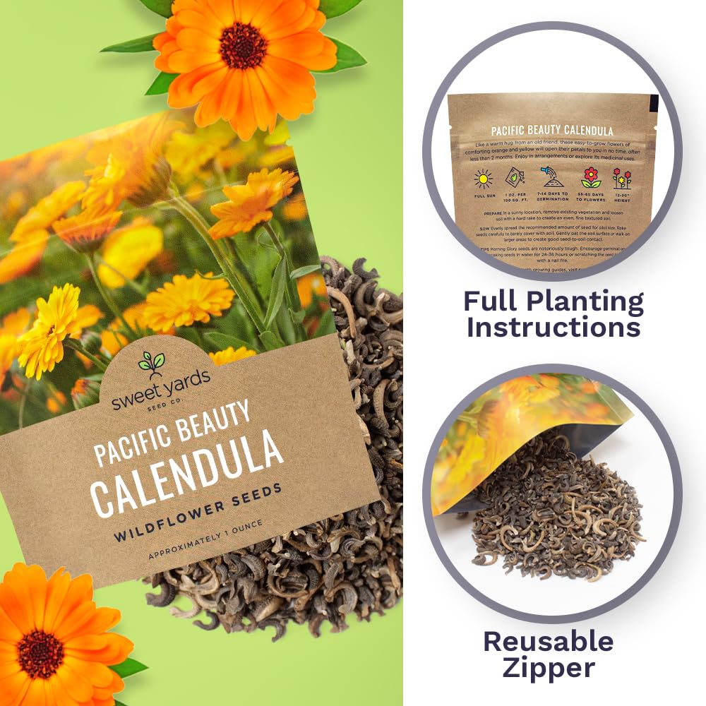 Calendula ‘Pacific Beauty Mix’ – Extra Large Packet – Over 3,000 Open Pollinated Non-GMO Wildflower Seeds – Calendula officinalis