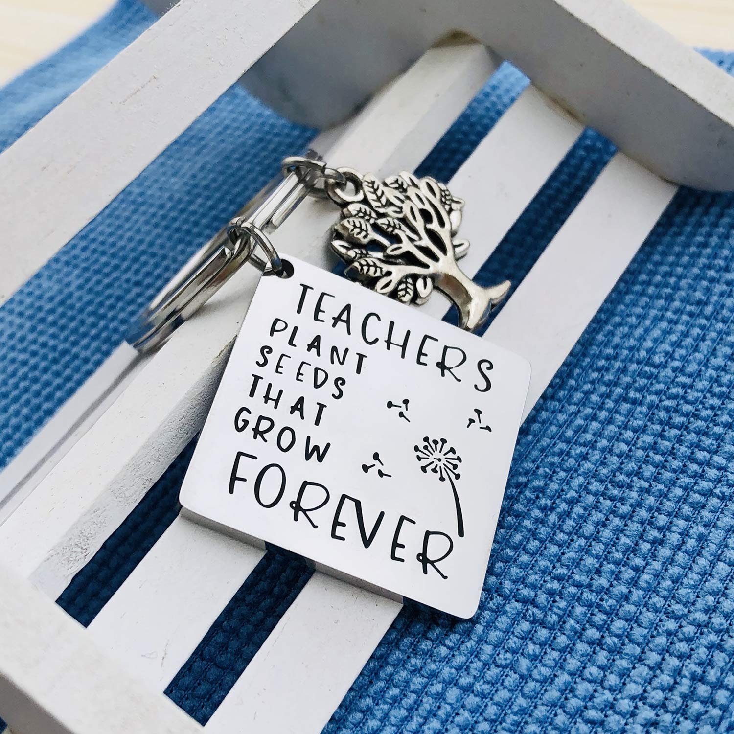 XGAKWD Teacher Appreciation Gift Keychain, Graduation Gifts for Teachers, Teachers Plant Seeds That Grow Forever Teacher Gifts Key Chain for Women Men (Tree of Life)