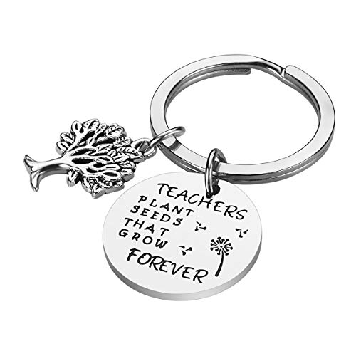 iJuqi Teacher Gifts for Women - Teacher Appreciation Gifts for Christmas Birthday, Teachers Plant Seeds That Grow Forever Teacher Keychain