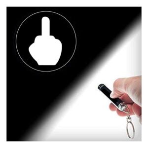 Vinylcation Middle Finger LED Keychain Light. Hilarious Projector Keyring Displays Humorous Image on Walls, Ceilings, Even Someone's Back. Causes Fits of Laughter & Stress Relief