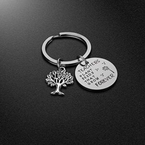 iJuqi Teacher Gifts for Women - Teacher Appreciation Gifts for Christmas Birthday, Teachers Plant Seeds That Grow Forever Teacher Keychain