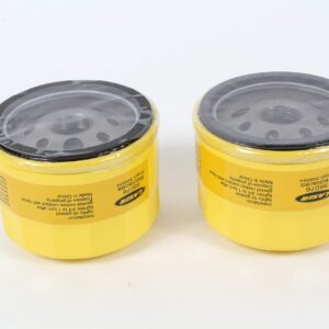 2 Pack Oil Filter Fits B&S 696854 795890 842921 695396 492932