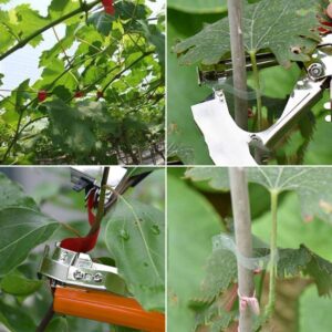 FUNTECK Plant Tying Machine to Tie Tomatoes Peppers and Cucumbers Quickly and Easily, Great for Gardeners Farmers, Including Spare Parts, Tapes and Staples, Orange