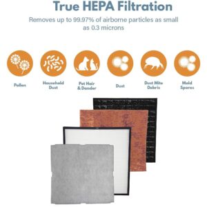 Filter-Monster – Pet Allergen Air Filter Replacement Kit - Replacement Compatible with Rabbit Air MinusA2 Air Purifier