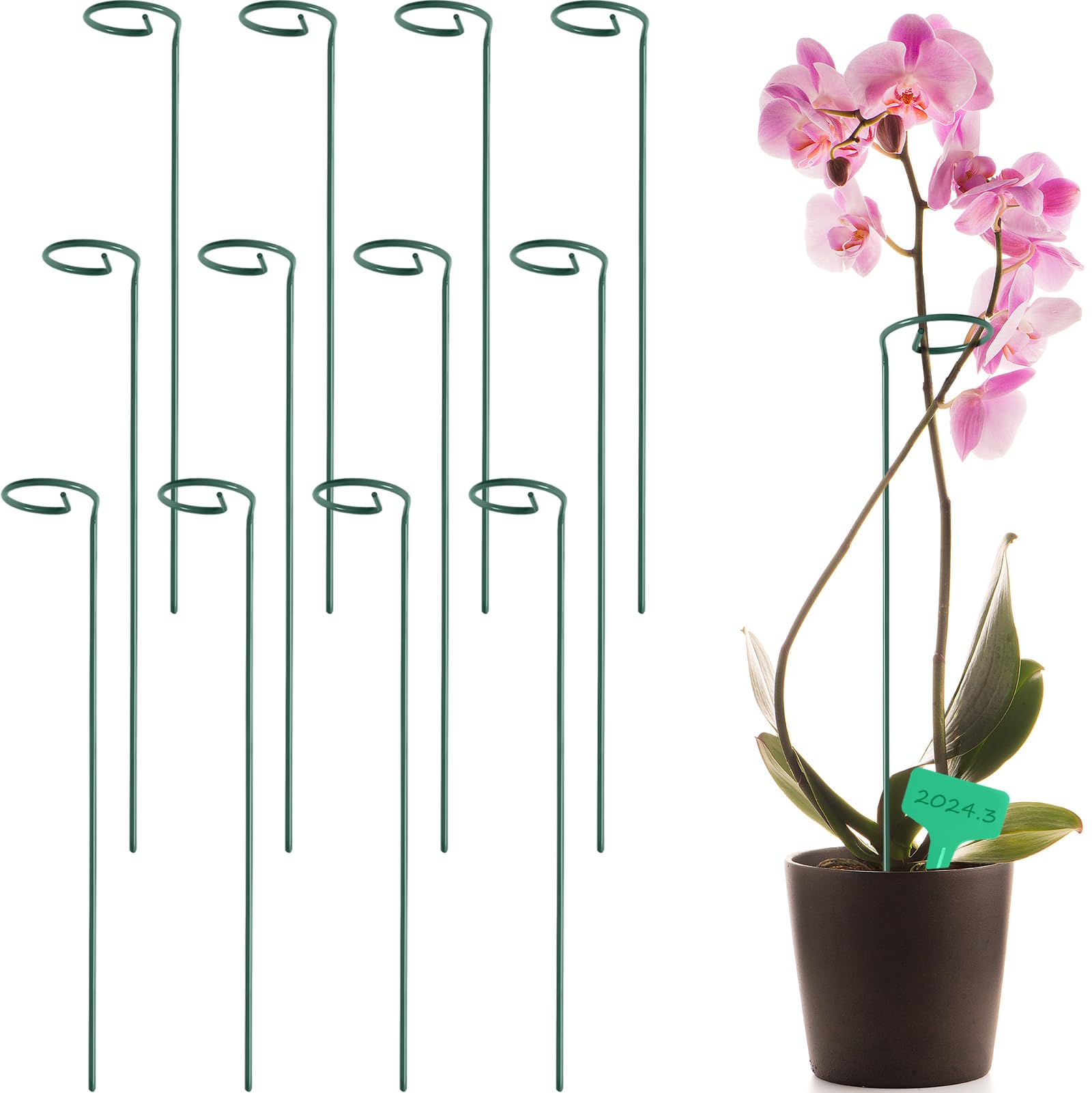 GROWNEER 12 Packs 16 Inches Garden Flower Support Plant Support Stakes, with 15 Pcs Plant Labels, Single Plant Stem Flower Support for Flowers, Orchid, Peony, Lily, Rose