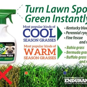 Pre-Mixed Grass and Turf Paint - All Natural Pet-Friendly Lawn Colorant Turns Spots Green Again with Eco-Friendly Point-and-Spray Application (16 oz) (Warm Season Grasses)